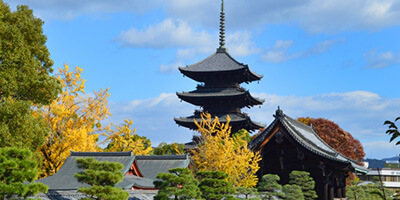 東寺の写真